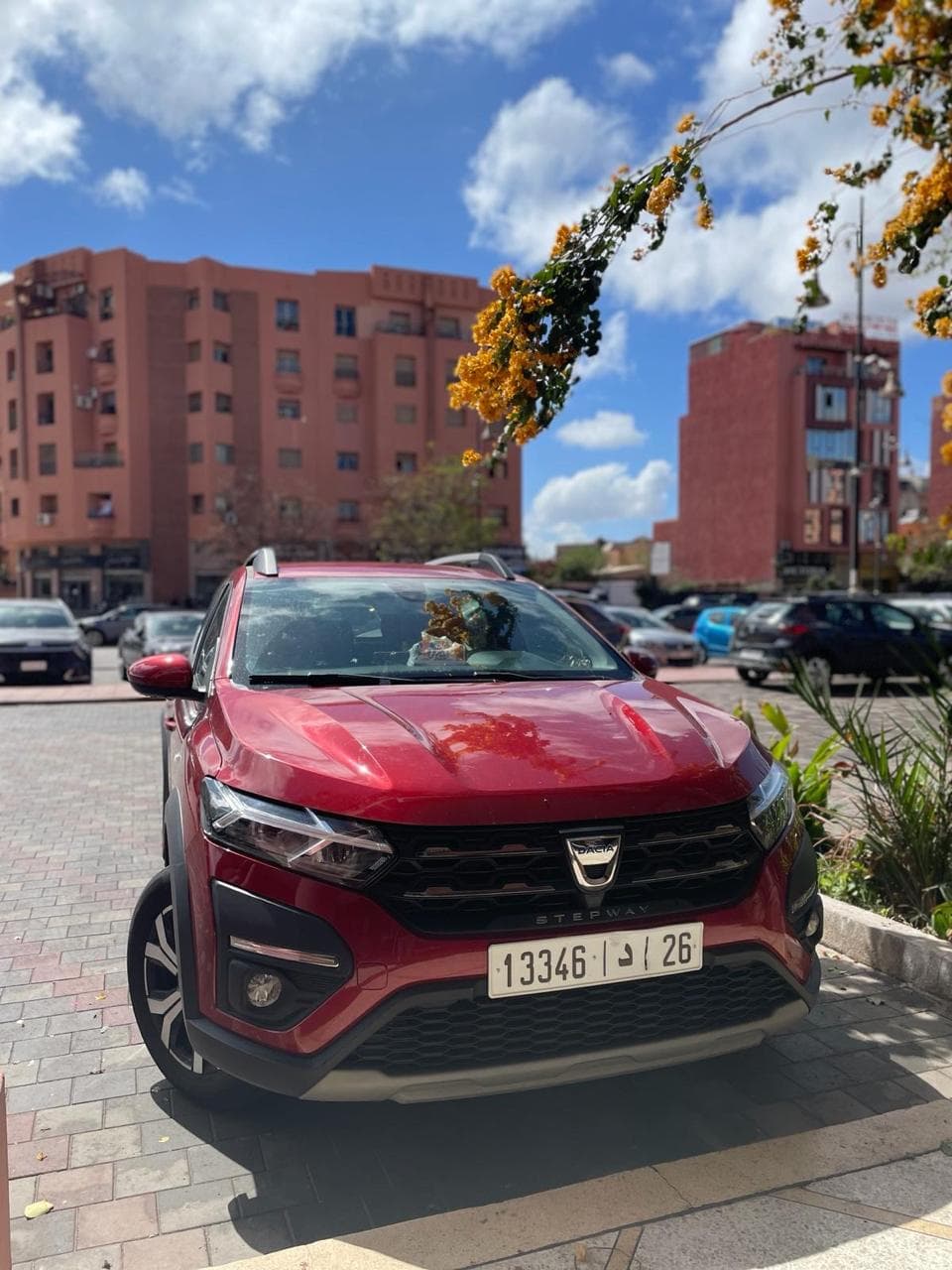 Dacia stepway